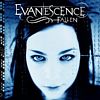 Fallen /Evanescence