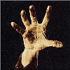 System Of A Down /System Of A Down