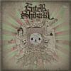 Take To The Skies /Enter Shikari