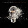 Because Of The Times /Kings Of Leon