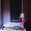 Dizzy Up The Girl /Goo Goo Dolls