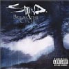 Break The Cycle /Staind